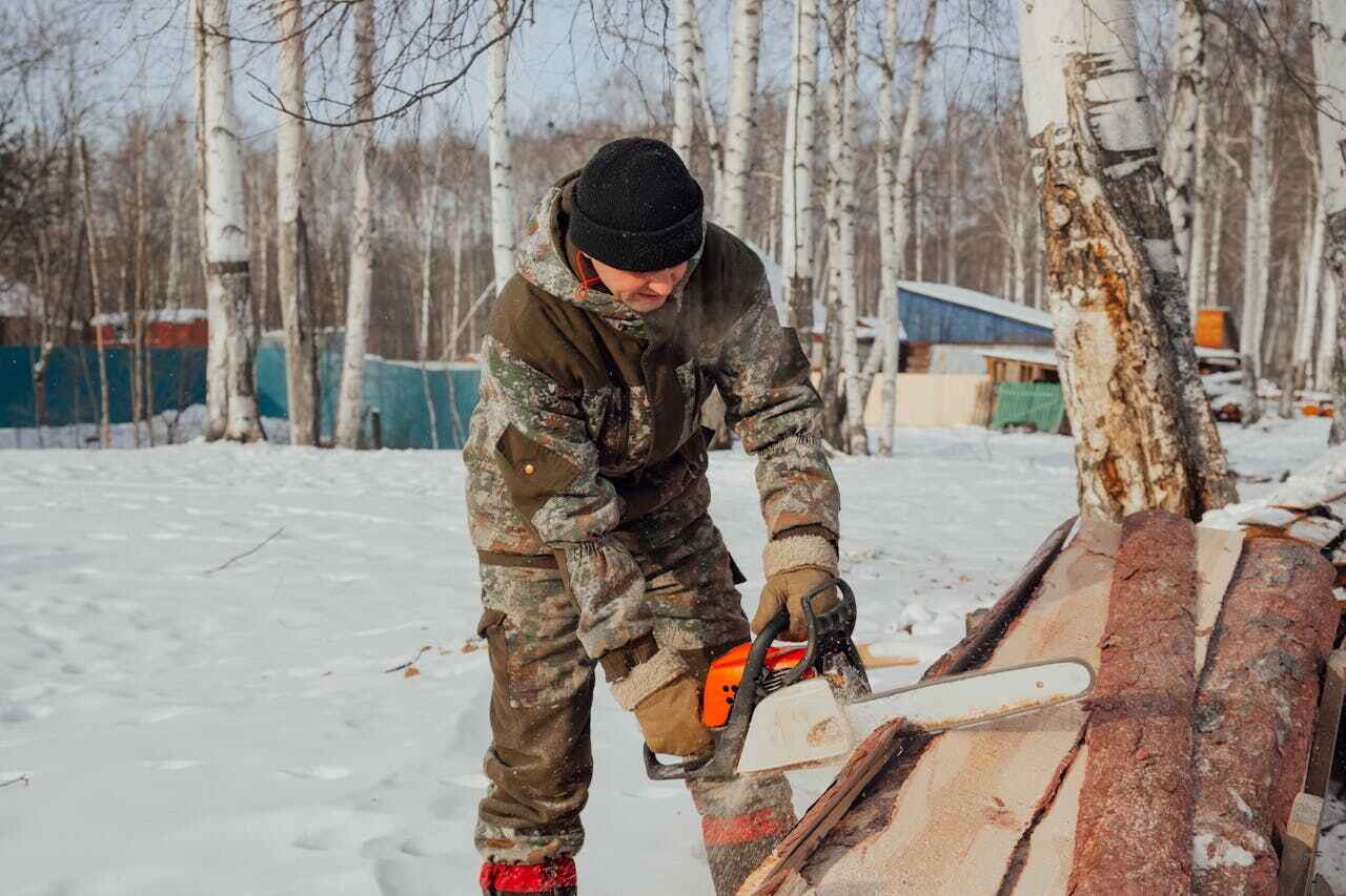 Tree Branch Trimming in Star City, AR